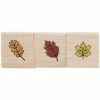 Hot Sale ???? Leaves Rubber Stamps ???? 1 Hot Sale ???? Leaves Rubber Stamps ???? -Tim Holtz shop 350Wx350H 1987932 0221 PX