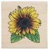 Outlet 🎉 Sunflower Rubber Stamp 🔔 -Tim Holtz shop 350Wx350H 1988138 0221 PX