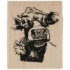 Top 10 π Cow Selfie Rubber Stamp π 2 Top 10 π Cow Selfie Rubber Stamp π -Tim Holtz shop 350Wx350H 2050763 0321 px