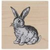 Wholesale ⭐ Rabbit Rubber Stamp ✨ -Tim Holtz shop 350Wx350H 2133072 0322